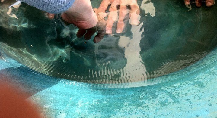 vibración agua i lung ding cuenco manantial