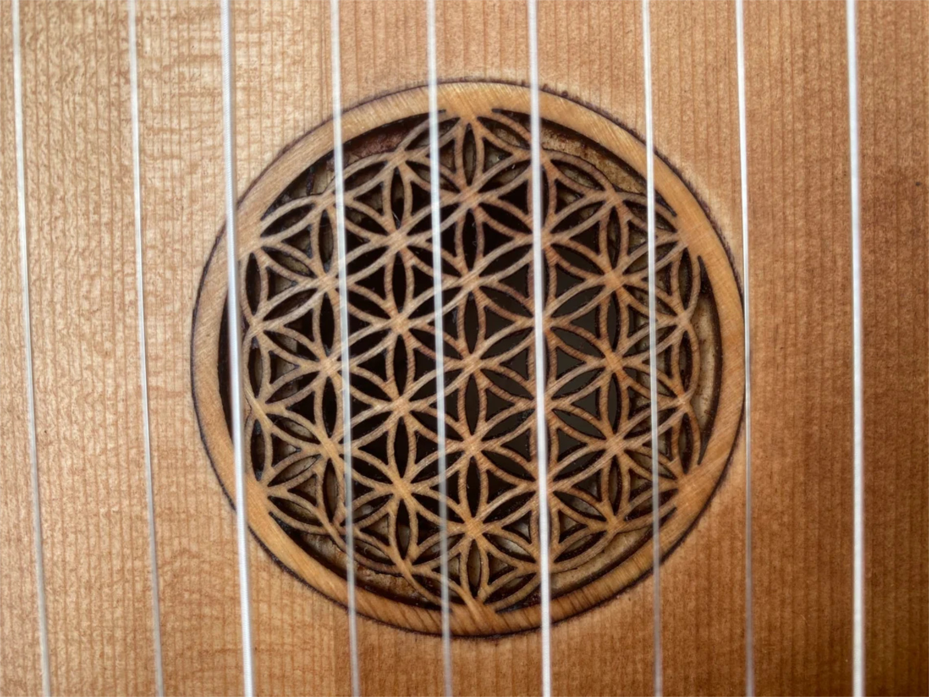 05-Monocorde de corazon-02