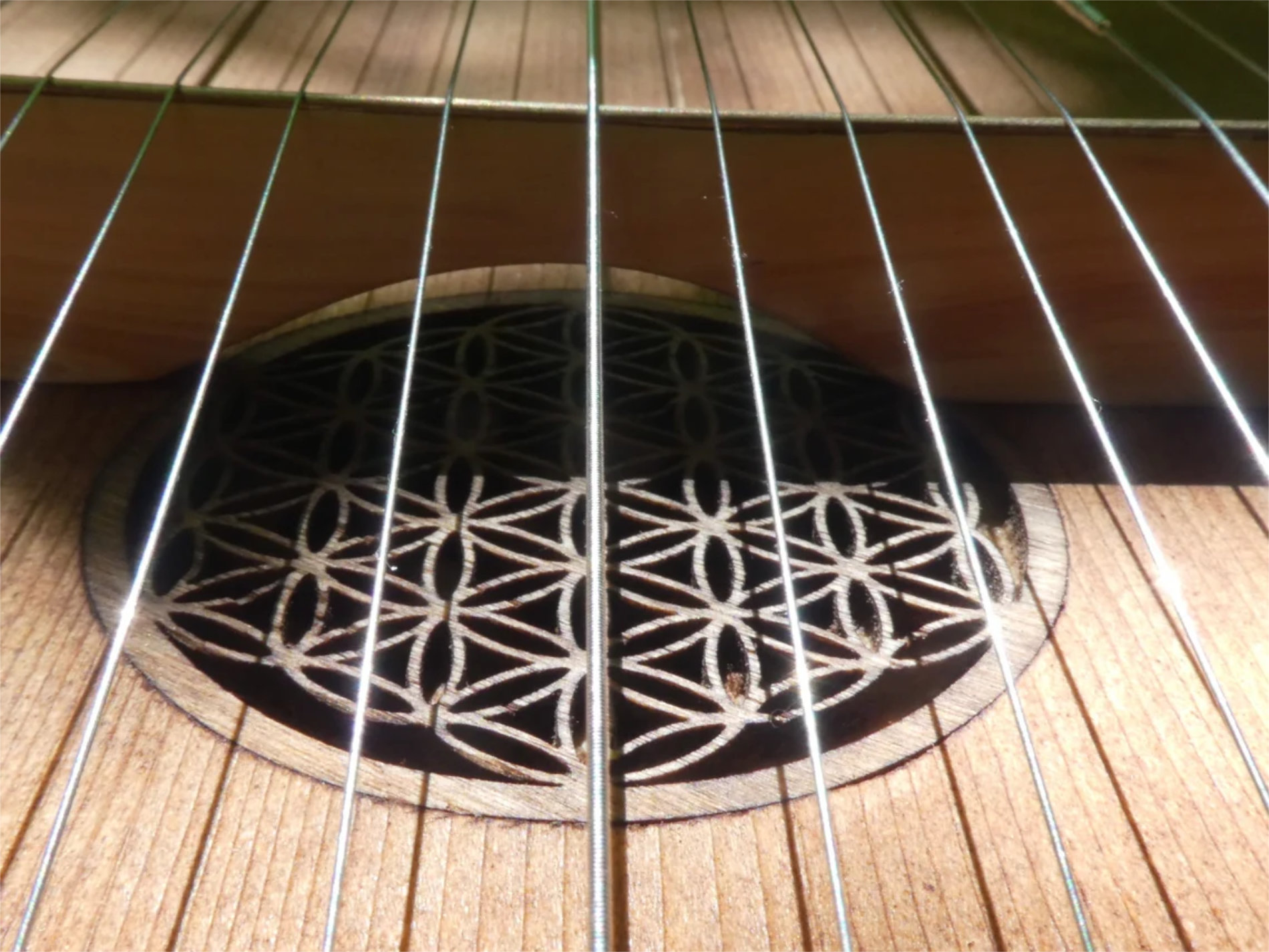 08-Monocordio Val Bavona. Monocordio de calidad de cuerpo de lujo y concierto-07