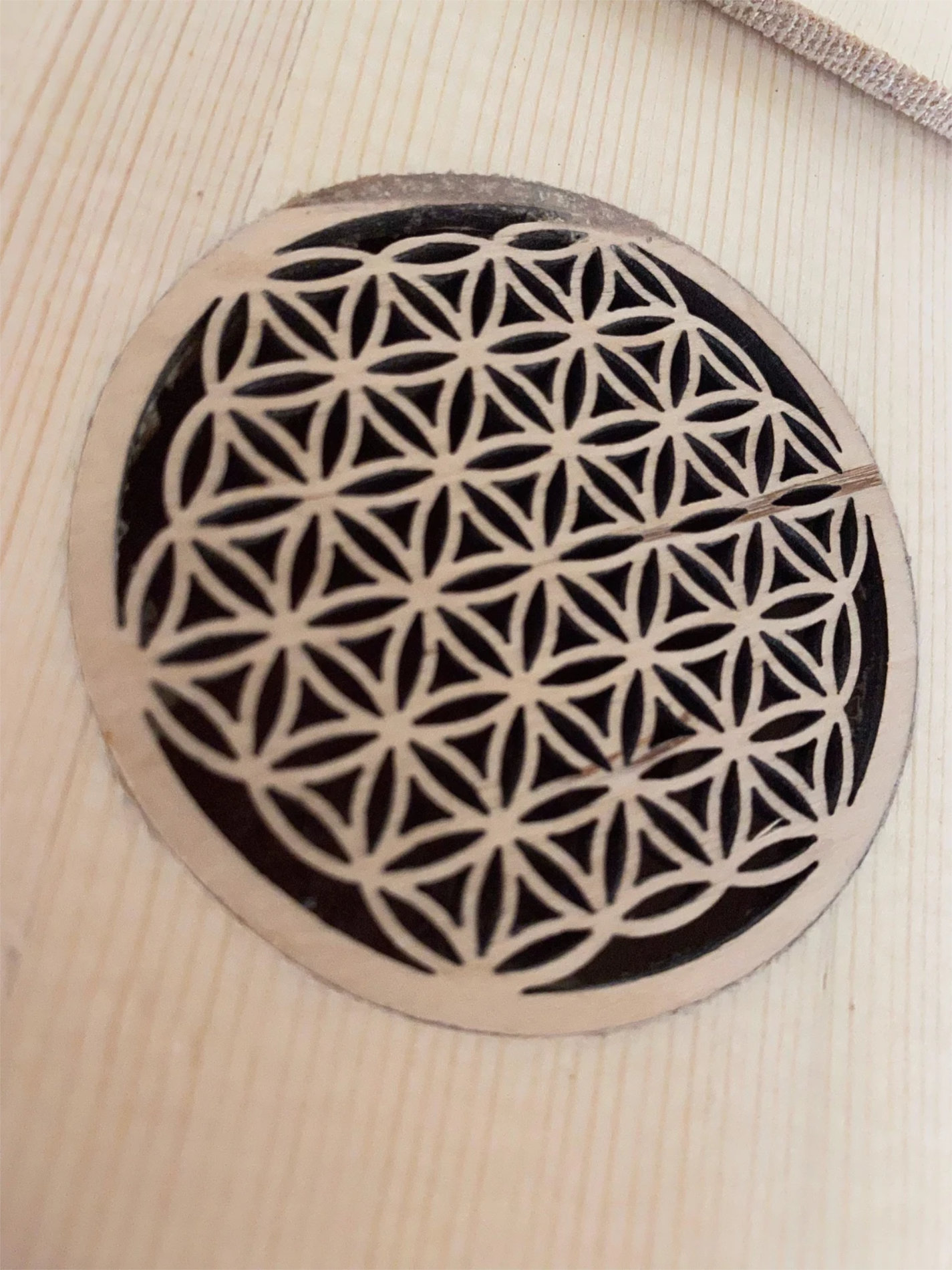 11-Monócordio Val Bavona. Cuerpo de lujo y monocordio de calidad de concierto-02