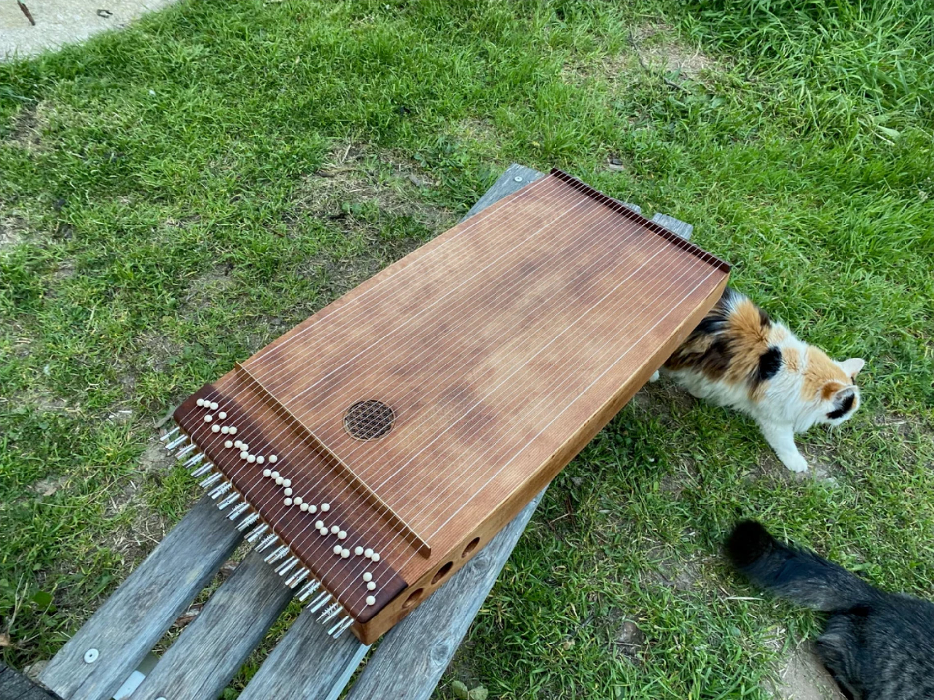 11-Monócordio Val Bavona. Cuerpo de lujo y monocordio de calidad de concierto-11