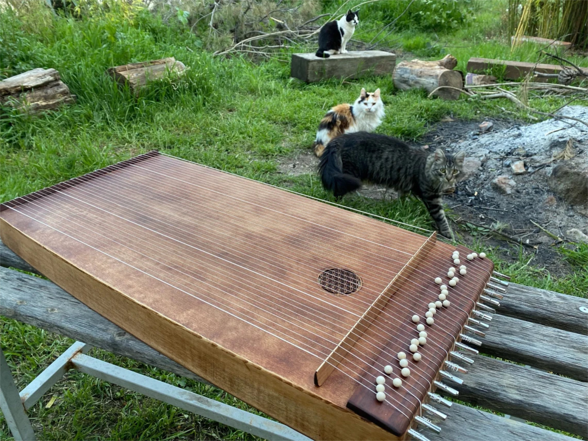 il_1140xN.3829081716_c1q6