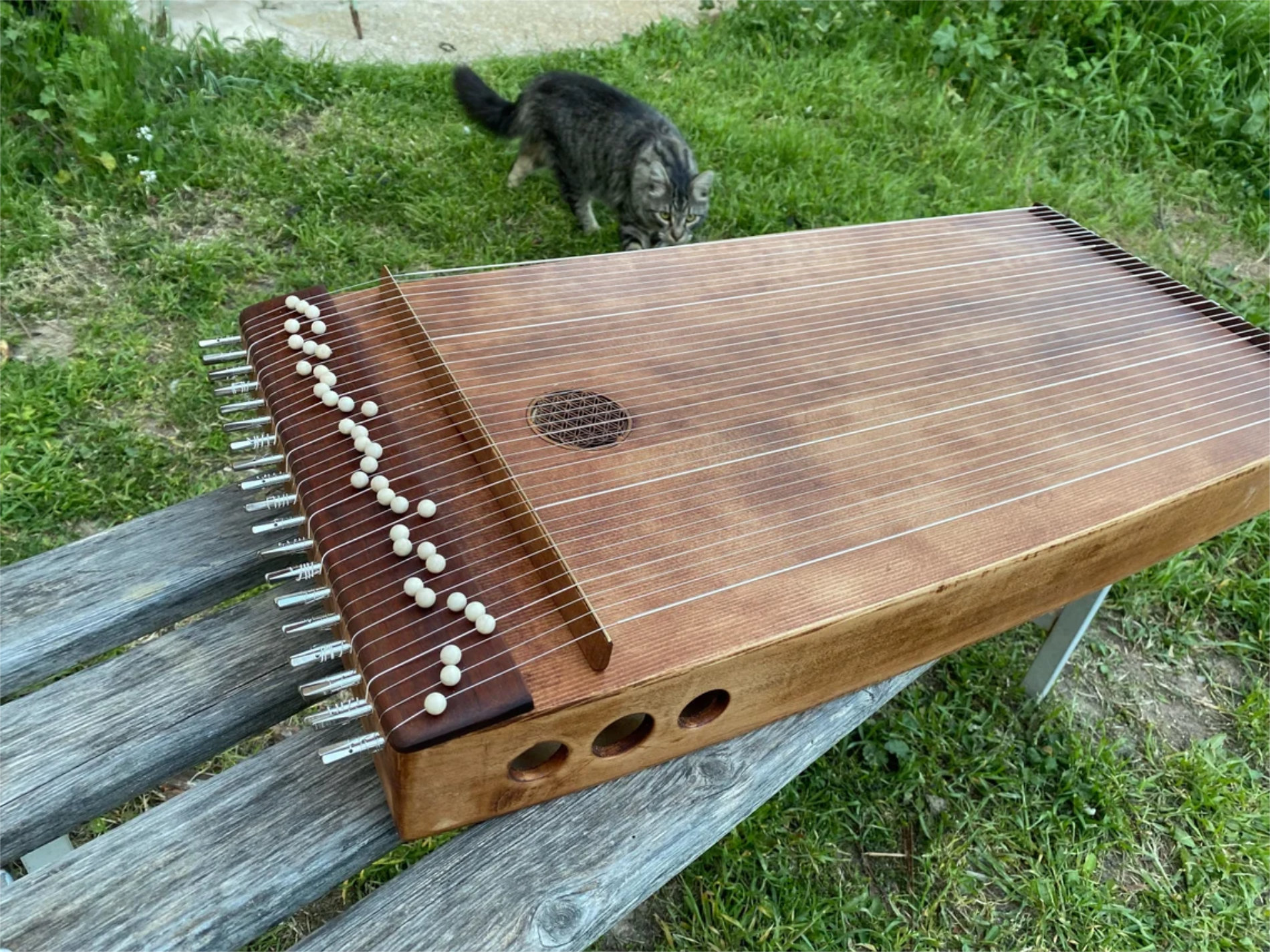 il_1140xN.3829081758_kr66